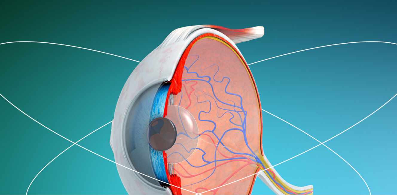 Cómo el envejecimiento afecta la susceptibilidad de las células ganglionares para sufrir lesiones en el glaucoma.