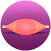 Glaucoma_nota33_icono_1