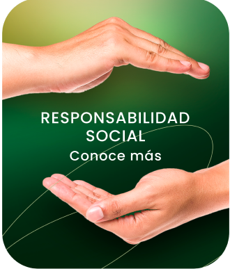 Responsabilidad Social